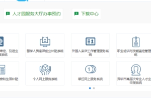 2020年深圳积分入户测评系统