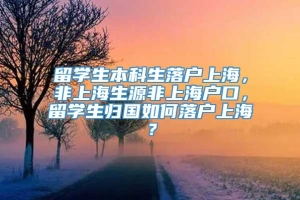 留学生本科生落户上海，非上海生源非上海户口，留学生归国如何落户上海？