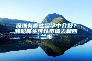 深圳有哪些留学中介好？我职高生可以申请去新西兰吗
