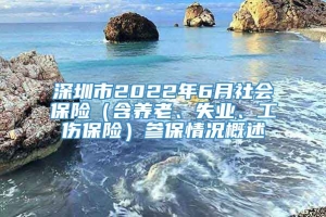 深圳市2022年6月社会保险（含养老、失业、工伤保险）参保情况概述