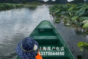 最新海归落户上海政策 服务电话