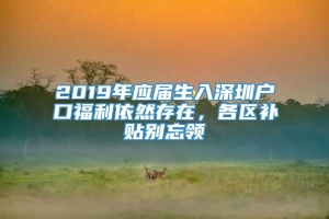 2019年应届生入深圳户口福利依然存在，各区补贴别忘领