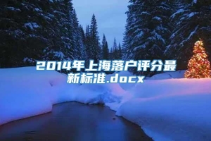 2014年上海落户评分最新标准.docx