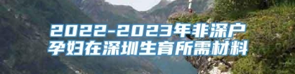 2022-2023年非深户孕妇在深圳生育所需材料