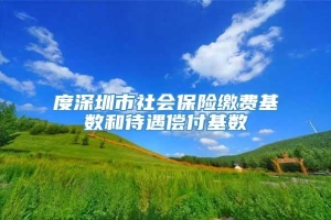 度深圳市社会保险缴费基数和待遇偿付基数