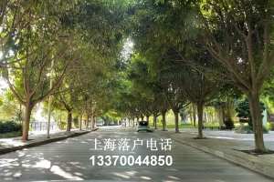 上海户口积分制_积分落户上海2019分数_上海积分落户容易吗？