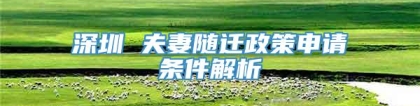 深圳 夫妻随迁政策申请条件解析