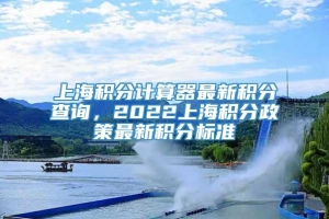 上海积分计算器最新积分查询，2022上海积分政策最新积分标准