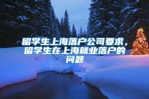留学生上海落户公司要求，留学生在上海就业落户的问题