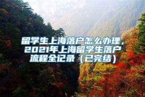 留学生上海落户怎么办理，2021年上海留学生落户流程全记录（已完结）