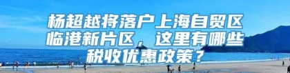 杨超越将落户上海自贸区临港新片区，这里有哪些税收优惠政策？