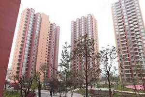 深圳新引进人才租房补贴标准是什么