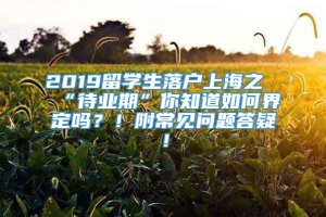 2019留学生落户上海之“待业期”你知道如何界定吗？！附常见问题答疑！