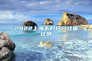2022上海农村户口社保比例