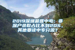 2019深圳最难中考：非深户录取占比不到20%，其他要读中专分流？
