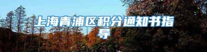 上海青浦区积分通知书指导