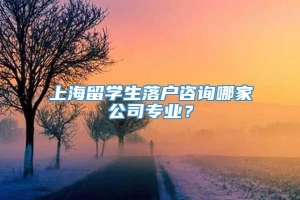 上海留学生落户咨询哪家公司专业？