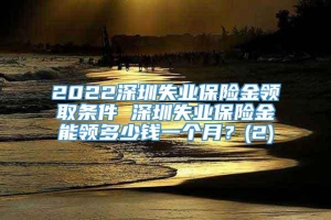 2022深圳失业保险金领取条件 深圳失业保险金能领多少钱一个月？(2)