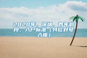 2020年，深圳，各年龄段，入户标准（列位对号入座）