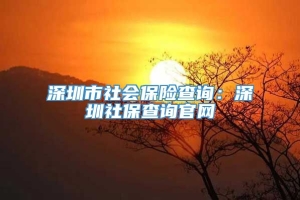 深圳市社会保险查询：深圳社保查询官网