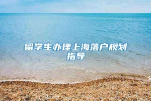 留学生办理上海落户规划指导