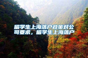 留学生上海落户政策对公司要求，留学生上海落户
