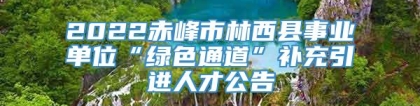 2022赤峰市林西县事业单位“绿色通道”补充引进人才公告