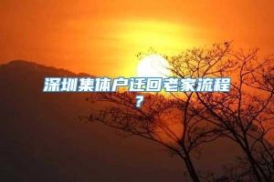 深圳集体户迁回老家流程？