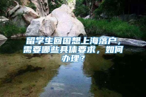 留学生回国想上海落户，需要哪些具体要求，如何办理？