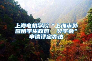 上海电机学院“上海市外国留学生政府  奖学金”申请评定办法