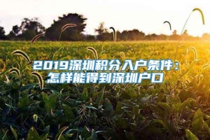 2019深圳积分入户条件：怎样能得到深圳户口