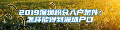 2019深圳积分入户条件：怎样能得到深圳户口