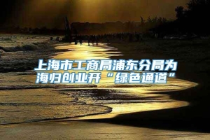 上海市工商局浦东分局为海归创业开“绿色通道”