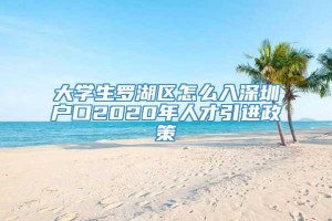 大学生罗湖区怎么入深圳户口2020年人才引进政策