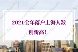 2021全年落户上海人数创新高！上海落户条件再放宽