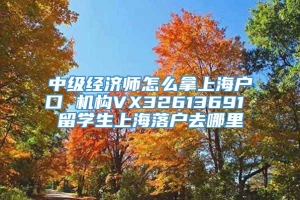 中级经济师怎么拿上海户口 机构VX32613691 留学生上海落户去哪里