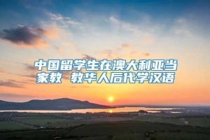 中国留学生在澳大利亚当家教 教华人后代学汉语