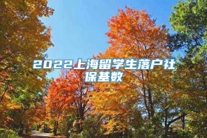 2022上海留学生落户社保基数