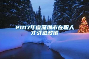 2017年度深圳市在职人才引进政策