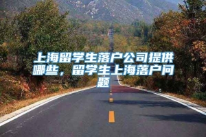 上海留学生落户公司提供哪些，留学生上海落户问题