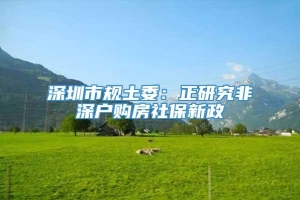 深圳市规土委：正研究非深户购房社保新政