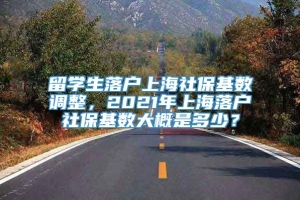 留学生落户上海社保基数调整，2021年上海落户社保基数大概是多少？
