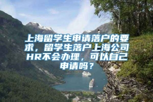 上海留学生申请落户的要求，留学生落户上海公司HR不会办理，可以自己申请吗？