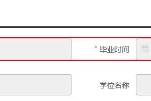 深圳人才引进补贴申请，信息不完整但是又没法在浏览器上补充完善？