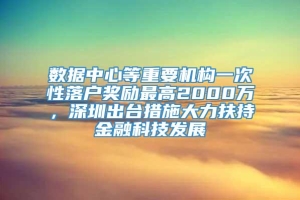 数据中心等重要机构一次性落户奖励最高2000万，深圳出台措施大力扶持金融科技发展