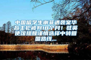 中国留学生谢菲遇袭案华裔主犯被判18个月！驻英使馆提醒谨慎选择中转回国路线...