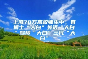 上海70万高校师生中，有博士“大白”外语“大白”爬楼“大白”三代“大白”