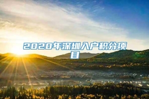 2020年深圳入户积分项目