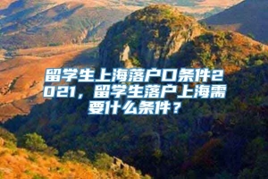 留学生上海落户口条件2021，留学生落户上海需要什么条件？