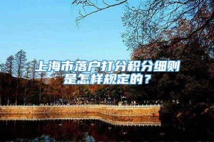 上海市落户打分积分细则是怎样规定的？